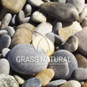 tipos de jardineria,jardineria cursos,servicio de jardineria,importancia de jardineria,jardineria herramientas,jardineria y plantas,jardineria y paisajismo,jardineria macetas,tipos de jardineria,jardineria cursos,servicio de jardineria,importancia de jardineria,jardineria herramientas,jardineria y plantas,jardineria y paisajismo,jardineria macetas,instalacion de grass sintetico pdf,como instalar grass sintetico,instalacion de grass natural,grass sintetico deportivo,grass sintetico decorativo,como colocar cesped sintetico para canchas,instalacion de grass sintetico sobre losa de concreto,procedimiento de instalacion de grass sintetico,como poner pasto natural,cómo preparar la tierra para poner pasto en rollo,como plantar cesped en tierra dura,venta de grass natural en huancayo,grass americano,como hacer panes de cesped caseros,como instalar grama,cesped en rollo,grass americano promart,grass americano descripcion,venta de grass americano en huachipa,grass japones,grass paspalum,grass americano chaclacayo,grass natural precio maestro,grass americano en lurin,grass paspalum lima,semilla grass paspalum,pasto paspalum caracteristicas,grass americano,grass bermuda,pasto paspalum precio,diferencia entre grass americano y paspalum,tipos de grass,semillas de cesped para jardin,pasto que no necesita corte,tipos de cesped para canchas de futbol,tipos de pasto para sombra,cesped caracteristicas,tipos de pasto san agustin,cesped natural para jardin,cesped kikuyo,como poner pasto natural,cómo preparar la tierra para poner pasto en rollo,como plantar cesped en tierra dura,venta de grass natural en huancayo,grass americano,como hacer panes de cesped caseros,como instalar grama,cesped en rollo,cómo preparar la tierra para poner pasto en rollo,como poner pasto en semilla,pasto alfombra natural,como sembrar pasto alfombra,cuidado del pasto en rollo recien plantado,instalacion de cesped natural,pasto sintetico,pasto chino cuidados,cómo preparar la tierra para poner pasto en rollo,como poner pasto en semilla,pasto alfombra natural,como sembrar pasto alfombra,cuidado del pasto en rollo recien plantado,instalacion de cesped natural,pasto sintetico,pasto chino cuidados,venta de plantas al por mayor,venta de plantas ornamentales en lima,venta de plantas de flores,venta de plantas en trujillo,venta de plantas por internet,venta de plantas en piura,viveros en lurin,viveros en lurin pachacamac,venta de plantas al por mayor,venta de plantas ornamentales en lima,viveros en lurin,viveros en la molina,viveros en lurin pachacamac,flor de loto venta peru,viveros en chorrillos ,venta de plantas online,venta de plantas al por mayor en lima,venta de plantas ornamentales,venta de plantas de flores,viveros en lurin,venta de plantas en magdalena,venta de plantas online,viveros en lurin pachacamac,viveros en la molina,venta de grass natural en lurin,venta de grass natural en puente piedra,grass natural precio maestro,venta de grass japones en lima,venta de grass natural en piura,venta de grass natural en comas,semilla de grass,venta de grass chino en lima,semilla grass bermuda black jack,grass americano,semillas de cesped para jardin,grass natural precio maestro,grass natural promart,crecimiento de grass,grass para parques,venta de cesped natural,venta de grass natural en lurin,venta de grass natural en puente piedra,grass natural precio maestro,venta de grass japones en lima,venta de grass natural en piura,venta de grass natural en comas,venta de grass sintetico,venta de grass chino en lima,venta de grass natural en lurin,venta de grass natural en puente piedra,grass natural precio maestro,venta de grass japones en lima,venta de grass natural en piura,venta de grass natural en comas,venta de grass sintetico,venta de grass chino en lima
