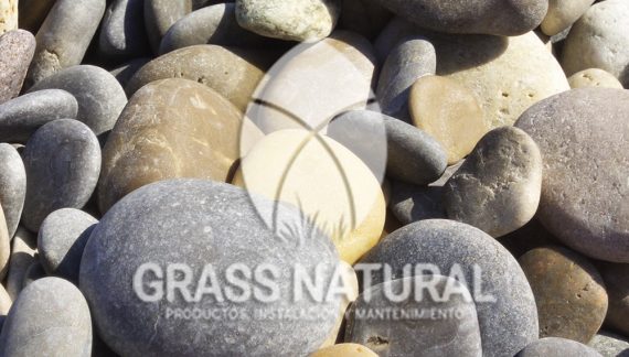 tipos de jardineria,jardineria cursos,servicio de jardineria,importancia de jardineria,jardineria herramientas,jardineria y plantas,jardineria y paisajismo,jardineria macetas,tipos de jardineria,jardineria cursos,servicio de jardineria,importancia de jardineria,jardineria herramientas,jardineria y plantas,jardineria y paisajismo,jardineria macetas,instalacion de grass sintetico pdf,como instalar grass sintetico,instalacion de grass natural,grass sintetico deportivo,grass sintetico decorativo,como colocar cesped sintetico para canchas,instalacion de grass sintetico sobre losa de concreto,procedimiento de instalacion de grass sintetico,como poner pasto natural,cómo preparar la tierra para poner pasto en rollo,como plantar cesped en tierra dura,venta de grass natural en huancayo,grass americano,como hacer panes de cesped caseros,como instalar grama,cesped en rollo,grass americano promart,grass americano descripcion,venta de grass americano en huachipa,grass japones,grass paspalum,grass americano chaclacayo,grass natural precio maestro,grass americano en lurin,grass paspalum lima,semilla grass paspalum,pasto paspalum caracteristicas,grass americano,grass bermuda,pasto paspalum precio,diferencia entre grass americano y paspalum,tipos de grass,semillas de cesped para jardin,pasto que no necesita corte,tipos de cesped para canchas de futbol,tipos de pasto para sombra,cesped caracteristicas,tipos de pasto san agustin,cesped natural para jardin,cesped kikuyo,como poner pasto natural,cómo preparar la tierra para poner pasto en rollo,como plantar cesped en tierra dura,venta de grass natural en huancayo,grass americano,como hacer panes de cesped caseros,como instalar grama,cesped en rollo,cómo preparar la tierra para poner pasto en rollo,como poner pasto en semilla,pasto alfombra natural,como sembrar pasto alfombra,cuidado del pasto en rollo recien plantado,instalacion de cesped natural,pasto sintetico,pasto chino cuidados,cómo preparar la tierra para poner pasto en rollo,como poner pasto en semilla,pasto alfombra natural,como sembrar pasto alfombra,cuidado del pasto en rollo recien plantado,instalacion de cesped natural,pasto sintetico,pasto chino cuidados,venta de plantas al por mayor,venta de plantas ornamentales en lima,venta de plantas de flores,venta de plantas en trujillo,venta de plantas por internet,venta de plantas en piura,viveros en lurin,viveros en lurin pachacamac,venta de plantas al por mayor,venta de plantas ornamentales en lima,viveros en lurin,viveros en la molina,viveros en lurin pachacamac,flor de loto venta peru,viveros en chorrillos ,venta de plantas online,venta de plantas al por mayor en lima,venta de plantas ornamentales,venta de plantas de flores,viveros en lurin,venta de plantas en magdalena,venta de plantas online,viveros en lurin pachacamac,viveros en la molina,venta de grass natural en lurin,venta de grass natural en puente piedra,grass natural precio maestro,venta de grass japones en lima,venta de grass natural en piura,venta de grass natural en comas,semilla de grass,venta de grass chino en lima,semilla grass bermuda black jack,grass americano,semillas de cesped para jardin,grass natural precio maestro,grass natural promart,crecimiento de grass,grass para parques,venta de cesped natural,venta de grass natural en lurin,venta de grass natural en puente piedra,grass natural precio maestro,venta de grass japones en lima,venta de grass natural en piura,venta de grass natural en comas,venta de grass sintetico,venta de grass chino en lima,venta de grass natural en lurin,venta de grass natural en puente piedra,grass natural precio maestro,venta de grass japones en lima,venta de grass natural en piura,venta de grass natural en comas,venta de grass sintetico,venta de grass chino en lima