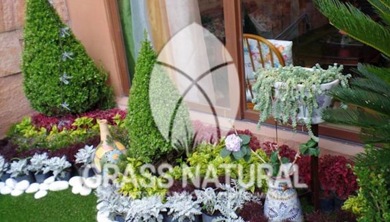 tipos de jardineria,jardineria cursos,servicio de jardineria,importancia de jardineria,jardineria herramientas,jardineria y plantas,jardineria y paisajismo,jardineria macetas,tipos de jardineria,jardineria cursos,servicio de jardineria,importancia de jardineria,jardineria herramientas,jardineria y plantas,jardineria y paisajismo,jardineria macetas,instalacion de grass sintetico pdf,como instalar grass sintetico,instalacion de grass natural,grass sintetico deportivo,grass sintetico decorativo,como colocar cesped sintetico para canchas,instalacion de grass sintetico sobre losa de concreto,procedimiento de instalacion de grass sintetico,como poner pasto natural,cómo preparar la tierra para poner pasto en rollo,como plantar cesped en tierra dura,venta de grass natural en huancayo,grass americano,como hacer panes de cesped caseros,como instalar grama,cesped en rollo,grass americano promart,grass americano descripcion,venta de grass americano en huachipa,grass japones,grass paspalum,grass americano chaclacayo,grass natural precio maestro,grass americano en lurin,grass paspalum lima,semilla grass paspalum,pasto paspalum caracteristicas,grass americano,grass bermuda,pasto paspalum precio,diferencia entre grass americano y paspalum,tipos de grass,semillas de cesped para jardin,pasto que no necesita corte,tipos de cesped para canchas de futbol,tipos de pasto para sombra,cesped caracteristicas,tipos de pasto san agustin,cesped natural para jardin,cesped kikuyo,como poner pasto natural,cómo preparar la tierra para poner pasto en rollo,como plantar cesped en tierra dura,venta de grass natural en huancayo,grass americano,como hacer panes de cesped caseros,como instalar grama,cesped en rollo,cómo preparar la tierra para poner pasto en rollo,como poner pasto en semilla,pasto alfombra natural,como sembrar pasto alfombra,cuidado del pasto en rollo recien plantado,instalacion de cesped natural,pasto sintetico,pasto chino cuidados,cómo preparar la tierra para poner pasto en rollo,como poner pasto en semilla,pasto alfombra natural,como sembrar pasto alfombra,cuidado del pasto en rollo recien plantado,instalacion de cesped natural,pasto sintetico,pasto chino cuidados,venta de plantas al por mayor,venta de plantas ornamentales en lima,venta de plantas de flores,venta de plantas en trujillo,venta de plantas por internet,venta de plantas en piura,viveros en lurin,viveros en lurin pachacamac,venta de plantas al por mayor,venta de plantas ornamentales en lima,viveros en lurin,viveros en la molina,viveros en lurin pachacamac,flor de loto venta peru,viveros en chorrillos ,venta de plantas online,venta de plantas al por mayor en lima,venta de plantas ornamentales,venta de plantas de flores,viveros en lurin,venta de plantas en magdalena,venta de plantas online,viveros en lurin pachacamac,viveros en la molina,venta de grass natural en lurin,venta de grass natural en puente piedra,grass natural precio maestro,venta de grass japones en lima,venta de grass natural en piura,venta de grass natural en comas,semilla de grass,venta de grass chino en lima,semilla grass bermuda black jack,grass americano,semillas de cesped para jardin,grass natural precio maestro,grass natural promart,crecimiento de grass,grass para parques,venta de cesped natural,venta de grass natural en lurin,venta de grass natural en puente piedra,grass natural precio maestro,venta de grass japones en lima,venta de grass natural en piura,venta de grass natural en comas,venta de grass sintetico,venta de grass chino en lima,venta de grass natural en lurin,venta de grass natural en puente piedra,grass natural precio maestro,venta de grass japones en lima,venta de grass natural en piura,venta de grass natural en comas,venta de grass sintetico,venta de grass chino en lima