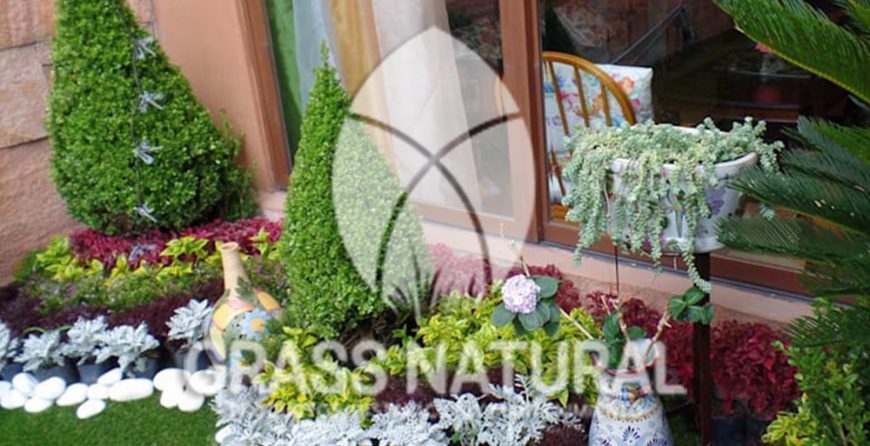 tipos de jardineria,jardineria cursos,servicio de jardineria,importancia de jardineria,jardineria herramientas,jardineria y plantas,jardineria y paisajismo,jardineria macetas,tipos de jardineria,jardineria cursos,servicio de jardineria,importancia de jardineria,jardineria herramientas,jardineria y plantas,jardineria y paisajismo,jardineria macetas,instalacion de grass sintetico pdf,como instalar grass sintetico,instalacion de grass natural,grass sintetico deportivo,grass sintetico decorativo,como colocar cesped sintetico para canchas,instalacion de grass sintetico sobre losa de concreto,procedimiento de instalacion de grass sintetico,como poner pasto natural,cómo preparar la tierra para poner pasto en rollo,como plantar cesped en tierra dura,venta de grass natural en huancayo,grass americano,como hacer panes de cesped caseros,como instalar grama,cesped en rollo,grass americano promart,grass americano descripcion,venta de grass americano en huachipa,grass japones,grass paspalum,grass americano chaclacayo,grass natural precio maestro,grass americano en lurin,grass paspalum lima,semilla grass paspalum,pasto paspalum caracteristicas,grass americano,grass bermuda,pasto paspalum precio,diferencia entre grass americano y paspalum,tipos de grass,semillas de cesped para jardin,pasto que no necesita corte,tipos de cesped para canchas de futbol,tipos de pasto para sombra,cesped caracteristicas,tipos de pasto san agustin,cesped natural para jardin,cesped kikuyo,como poner pasto natural,cómo preparar la tierra para poner pasto en rollo,como plantar cesped en tierra dura,venta de grass natural en huancayo,grass americano,como hacer panes de cesped caseros,como instalar grama,cesped en rollo,cómo preparar la tierra para poner pasto en rollo,como poner pasto en semilla,pasto alfombra natural,como sembrar pasto alfombra,cuidado del pasto en rollo recien plantado,instalacion de cesped natural,pasto sintetico,pasto chino cuidados,cómo preparar la tierra para poner pasto en rollo,como poner pasto en semilla,pasto alfombra natural,como sembrar pasto alfombra,cuidado del pasto en rollo recien plantado,instalacion de cesped natural,pasto sintetico,pasto chino cuidados,venta de plantas al por mayor,venta de plantas ornamentales en lima,venta de plantas de flores,venta de plantas en trujillo,venta de plantas por internet,venta de plantas en piura,viveros en lurin,viveros en lurin pachacamac,venta de plantas al por mayor,venta de plantas ornamentales en lima,viveros en lurin,viveros en la molina,viveros en lurin pachacamac,flor de loto venta peru,viveros en chorrillos ,venta de plantas online,venta de plantas al por mayor en lima,venta de plantas ornamentales,venta de plantas de flores,viveros en lurin,venta de plantas en magdalena,venta de plantas online,viveros en lurin pachacamac,viveros en la molina,venta de grass natural en lurin,venta de grass natural en puente piedra,grass natural precio maestro,venta de grass japones en lima,venta de grass natural en piura,venta de grass natural en comas,semilla de grass,venta de grass chino en lima,semilla grass bermuda black jack,grass americano,semillas de cesped para jardin,grass natural precio maestro,grass natural promart,crecimiento de grass,grass para parques,venta de cesped natural,venta de grass natural en lurin,venta de grass natural en puente piedra,grass natural precio maestro,venta de grass japones en lima,venta de grass natural en piura,venta de grass natural en comas,venta de grass sintetico,venta de grass chino en lima,venta de grass natural en lurin,venta de grass natural en puente piedra,grass natural precio maestro,venta de grass japones en lima,venta de grass natural en piura,venta de grass natural en comas,venta de grass sintetico,venta de grass chino en lima