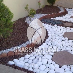 tipos de jardineria,jardineria cursos,servicio de jardineria,importancia de jardineria,jardineria herramientas,jardineria y plantas,jardineria y paisajismo,jardineria macetas,tipos de jardineria,jardineria cursos,servicio de jardineria,importancia de jardineria,jardineria herramientas,jardineria y plantas,jardineria y paisajismo,jardineria macetas,instalacion de grass sintetico pdf,como instalar grass sintetico,instalacion de grass natural,grass sintetico deportivo,grass sintetico decorativo,como colocar cesped sintetico para canchas,instalacion de grass sintetico sobre losa de concreto,procedimiento de instalacion de grass sintetico,como poner pasto natural,cómo preparar la tierra para poner pasto en rollo,como plantar cesped en tierra dura,venta de grass natural en huancayo,grass americano,como hacer panes de cesped caseros,como instalar grama,cesped en rollo,grass americano promart,grass americano descripcion,venta de grass americano en huachipa,grass japones,grass paspalum,grass americano chaclacayo,grass natural precio maestro,grass americano en lurin,grass paspalum lima,semilla grass paspalum,pasto paspalum caracteristicas,grass americano,grass bermuda,pasto paspalum precio,diferencia entre grass americano y paspalum,tipos de grass,semillas de cesped para jardin,pasto que no necesita corte,tipos de cesped para canchas de futbol,tipos de pasto para sombra,cesped caracteristicas,tipos de pasto san agustin,cesped natural para jardin,cesped kikuyo,como poner pasto natural,cómo preparar la tierra para poner pasto en rollo,como plantar cesped en tierra dura,venta de grass natural en huancayo,grass americano,como hacer panes de cesped caseros,como instalar grama,cesped en rollo,cómo preparar la tierra para poner pasto en rollo,como poner pasto en semilla,pasto alfombra natural,como sembrar pasto alfombra,cuidado del pasto en rollo recien plantado,instalacion de cesped natural,pasto sintetico,pasto chino cuidados,cómo preparar la tierra para poner pasto en rollo,como poner pasto en semilla,pasto alfombra natural,como sembrar pasto alfombra,cuidado del pasto en rollo recien plantado,instalacion de cesped natural,pasto sintetico,pasto chino cuidados,venta de plantas al por mayor,venta de plantas ornamentales en lima,venta de plantas de flores,venta de plantas en trujillo,venta de plantas por internet,venta de plantas en piura,viveros en lurin,viveros en lurin pachacamac,venta de plantas al por mayor,venta de plantas ornamentales en lima,viveros en lurin,viveros en la molina,viveros en lurin pachacamac,flor de loto venta peru,viveros en chorrillos ,venta de plantas online,venta de plantas al por mayor en lima,venta de plantas ornamentales,venta de plantas de flores,viveros en lurin,venta de plantas en magdalena,venta de plantas online,viveros en lurin pachacamac,viveros en la molina,venta de grass natural en lurin,venta de grass natural en puente piedra,grass natural precio maestro,venta de grass japones en lima,venta de grass natural en piura,venta de grass natural en comas,semilla de grass,venta de grass chino en lima,semilla grass bermuda black jack,grass americano,semillas de cesped para jardin,grass natural precio maestro,grass natural promart,crecimiento de grass,grass para parques,venta de cesped natural,venta de grass natural en lurin,venta de grass natural en puente piedra,grass natural precio maestro,venta de grass japones en lima,venta de grass natural en piura,venta de grass natural en comas,venta de grass sintetico,venta de grass chino en lima,venta de grass natural en lurin,venta de grass natural en puente piedra,grass natural precio maestro,venta de grass japones en lima,venta de grass natural en piura,venta de grass natural en comas,venta de grass sintetico,venta de grass chino en lima
