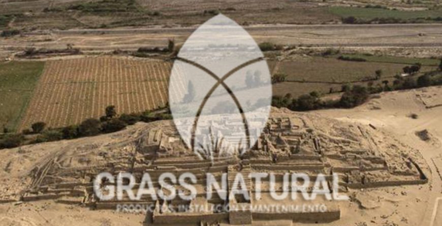 tipos de jardineria,jardineria cursos,servicio de jardineria,importancia de jardineria,jardineria herramientas,jardineria y plantas,jardineria y paisajismo,jardineria macetas,tipos de jardineria,jardineria cursos,servicio de jardineria,importancia de jardineria,jardineria herramientas,jardineria y plantas,jardineria y paisajismo,jardineria macetas,instalacion de grass sintetico pdf,como instalar grass sintetico,instalacion de grass natural,grass sintetico deportivo,grass sintetico decorativo,como colocar cesped sintetico para canchas,instalacion de grass sintetico sobre losa de concreto,procedimiento de instalacion de grass sintetico,como poner pasto natural,cómo preparar la tierra para poner pasto en rollo,como plantar cesped en tierra dura,venta de grass natural en huancayo,grass americano,como hacer panes de cesped caseros,como instalar grama,cesped en rollo,grass americano promart,grass americano descripcion,venta de grass americano en huachipa,grass japones,grass paspalum,grass americano chaclacayo,grass natural precio maestro,grass americano en lurin,grass paspalum lima,semilla grass paspalum,pasto paspalum caracteristicas,grass americano,grass bermuda,pasto paspalum precio,diferencia entre grass americano y paspalum,tipos de grass,semillas de cesped para jardin,pasto que no necesita corte,tipos de cesped para canchas de futbol,tipos de pasto para sombra,cesped caracteristicas,tipos de pasto san agustin,cesped natural para jardin,cesped kikuyo,como poner pasto natural,cómo preparar la tierra para poner pasto en rollo,como plantar cesped en tierra dura,venta de grass natural en huancayo,grass americano,como hacer panes de cesped caseros,como instalar grama,cesped en rollo,cómo preparar la tierra para poner pasto en rollo,como poner pasto en semilla,pasto alfombra natural,como sembrar pasto alfombra,cuidado del pasto en rollo recien plantado,instalacion de cesped natural,pasto sintetico,pasto chino cuidados,cómo preparar la tierra para poner pasto en rollo,como poner pasto en semilla,pasto alfombra natural,como sembrar pasto alfombra,cuidado del pasto en rollo recien plantado,instalacion de cesped natural,pasto sintetico,pasto chino cuidados,venta de plantas al por mayor,venta de plantas ornamentales en lima,venta de plantas de flores,venta de plantas en trujillo,venta de plantas por internet,venta de plantas en piura,viveros en lurin,viveros en lurin pachacamac,venta de plantas al por mayor,venta de plantas ornamentales en lima,viveros en lurin,viveros en la molina,viveros en lurin pachacamac,flor de loto venta peru,viveros en chorrillos ,venta de plantas online,venta de plantas al por mayor en lima,venta de plantas ornamentales,venta de plantas de flores,viveros en lurin,venta de plantas en magdalena,venta de plantas online,viveros en lurin pachacamac,viveros en la molina,venta de grass natural en lurin,venta de grass natural en puente piedra,grass natural precio maestro,venta de grass japones en lima,venta de grass natural en piura,venta de grass natural en comas,semilla de grass,venta de grass chino en lima,semilla grass bermuda black jack,grass americano,semillas de cesped para jardin,grass natural precio maestro,grass natural promart,crecimiento de grass,grass para parques,venta de cesped natural,venta de grass natural en lurin,venta de grass natural en puente piedra,grass natural precio maestro,venta de grass japones en lima,venta de grass natural en piura,venta de grass natural en comas,venta de grass sintetico,venta de grass chino en lima,venta de grass natural en lurin,venta de grass natural en puente piedra,grass natural precio maestro,venta de grass japones en lima,venta de grass natural en piura,venta de grass natural en comas,venta de grass sintetico,venta de grass chino en lima