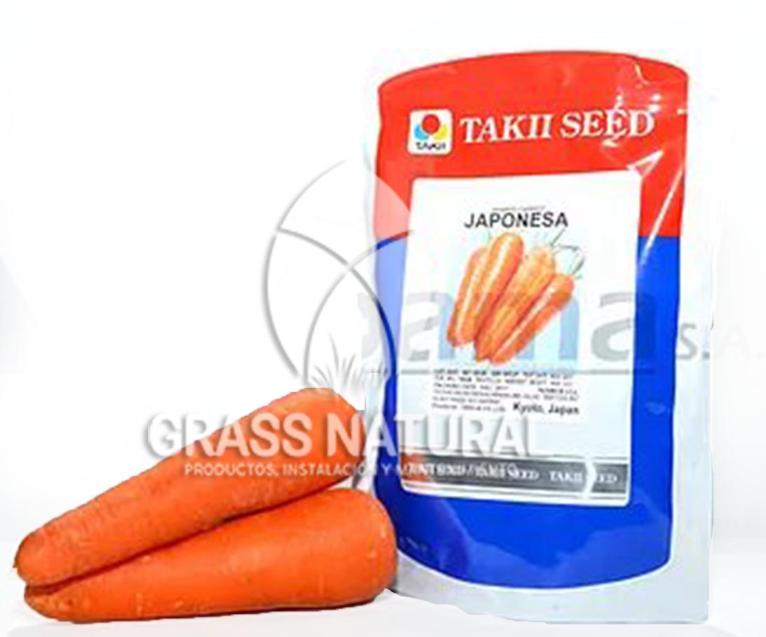 tipos de jardineria,jardineria cursos,servicio de jardineria,importancia de jardineria,jardineria herramientas,jardineria y plantas,jardineria y paisajismo,jardineria macetas,tipos de jardineria,jardineria cursos,servicio de jardineria,importancia de jardineria,jardineria herramientas,jardineria y plantas,jardineria y paisajismo,jardineria macetas,instalacion de grass sintetico pdf,como instalar grass sintetico,instalacion de grass natural,grass sintetico deportivo,grass sintetico decorativo,como colocar cesped sintetico para canchas,instalacion de grass sintetico sobre losa de concreto,procedimiento de instalacion de grass sintetico,como poner pasto natural,cómo preparar la tierra para poner pasto en rollo,como plantar cesped en tierra dura,venta de grass natural en huancayo,grass americano,como hacer panes de cesped caseros,como instalar grama,cesped en rollo,grass americano promart,grass americano descripcion,venta de grass americano en huachipa,grass japones,grass paspalum,grass americano chaclacayo,grass natural precio maestro,grass americano en lurin,grass paspalum lima,semilla grass paspalum,pasto paspalum caracteristicas,grass americano,grass bermuda,pasto paspalum precio,diferencia entre grass americano y paspalum,tipos de grass,semillas de cesped para jardin,pasto que no necesita corte,tipos de cesped para canchas de futbol,tipos de pasto para sombra,cesped caracteristicas,tipos de pasto san agustin,cesped natural para jardin,cesped kikuyo,como poner pasto natural,cómo preparar la tierra para poner pasto en rollo,como plantar cesped en tierra dura,venta de grass natural en huancayo,grass americano,como hacer panes de cesped caseros,como instalar grama,cesped en rollo,cómo preparar la tierra para poner pasto en rollo,como poner pasto en semilla,pasto alfombra natural,como sembrar pasto alfombra,cuidado del pasto en rollo recien plantado,instalacion de cesped natural,pasto sintetico,pasto chino cuidados,cómo preparar la tierra para poner pasto en rollo,como poner pasto en semilla,pasto alfombra natural,como sembrar pasto alfombra,cuidado del pasto en rollo recien plantado,instalacion de cesped natural,pasto sintetico,pasto chino cuidados,venta de plantas al por mayor,venta de plantas ornamentales en lima,venta de plantas de flores,venta de plantas en trujillo,venta de plantas por internet,venta de plantas en piura,viveros en lurin,viveros en lurin pachacamac,venta de plantas al por mayor,venta de plantas ornamentales en lima,viveros en lurin,viveros en la molina,viveros en lurin pachacamac,flor de loto venta peru,viveros en chorrillos ,venta de plantas online,venta de plantas al por mayor en lima,venta de plantas ornamentales,venta de plantas de flores,viveros en lurin,venta de plantas en magdalena,venta de plantas online,viveros en lurin pachacamac,viveros en la molina,venta de grass natural en lurin,venta de grass natural en puente piedra,grass natural precio maestro,venta de grass japones en lima,venta de grass natural en piura,venta de grass natural en comas,semilla de grass,venta de grass chino en lima,semilla grass bermuda black jack,grass americano,semillas de cesped para jardin,grass natural precio maestro,grass natural promart,crecimiento de grass,grass para parques,venta de cesped natural,venta de grass natural en lurin,venta de grass natural en puente piedra,grass natural precio maestro,venta de grass japones en lima,venta de grass natural en piura,venta de grass natural en comas,venta de grass sintetico,venta de grass chino en lima,venta de grass natural en lurin,venta de grass natural en puente piedra,grass natural precio maestro,venta de grass japones en lima,venta de grass natural en piura,venta de grass natural en comas,venta de grass sintetico,venta de grass chino en lima