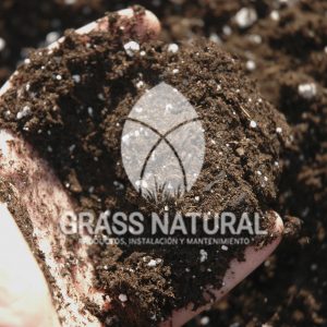 tipos de jardineria,jardineria cursos,servicio de jardineria,importancia de jardineria,jardineria herramientas,jardineria y plantas,jardineria y paisajismo,jardineria macetas,tipos de jardineria,jardineria cursos,servicio de jardineria,importancia de jardineria,jardineria herramientas,jardineria y plantas,jardineria y paisajismo,jardineria macetas,instalacion de grass sintetico pdf,como instalar grass sintetico,instalacion de grass natural,grass sintetico deportivo,grass sintetico decorativo,como colocar cesped sintetico para canchas,instalacion de grass sintetico sobre losa de concreto,procedimiento de instalacion de grass sintetico,como poner pasto natural,cómo preparar la tierra para poner pasto en rollo,como plantar cesped en tierra dura,venta de grass natural en huancayo,grass americano,como hacer panes de cesped caseros,como instalar grama,cesped en rollo,grass americano promart,grass americano descripcion,venta de grass americano en huachipa,grass japones,grass paspalum,grass americano chaclacayo,grass natural precio maestro,grass americano en lurin,grass paspalum lima,semilla grass paspalum,pasto paspalum caracteristicas,grass americano,grass bermuda,pasto paspalum precio,diferencia entre grass americano y paspalum,tipos de grass,semillas de cesped para jardin,pasto que no necesita corte,tipos de cesped para canchas de futbol,tipos de pasto para sombra,cesped caracteristicas,tipos de pasto san agustin,cesped natural para jardin,cesped kikuyo,como poner pasto natural,cómo preparar la tierra para poner pasto en rollo,como plantar cesped en tierra dura,venta de grass natural en huancayo,grass americano,como hacer panes de cesped caseros,como instalar grama,cesped en rollo,cómo preparar la tierra para poner pasto en rollo,como poner pasto en semilla,pasto alfombra natural,como sembrar pasto alfombra,cuidado del pasto en rollo recien plantado,instalacion de cesped natural,pasto sintetico,pasto chino cuidados,cómo preparar la tierra para poner pasto en rollo,como poner pasto en semilla,pasto alfombra natural,como sembrar pasto alfombra,cuidado del pasto en rollo recien plantado,instalacion de cesped natural,pasto sintetico,pasto chino cuidados,venta de plantas al por mayor,venta de plantas ornamentales en lima,venta de plantas de flores,venta de plantas en trujillo,venta de plantas por internet,venta de plantas en piura,viveros en lurin,viveros en lurin pachacamac,venta de plantas al por mayor,venta de plantas ornamentales en lima,viveros en lurin,viveros en la molina,viveros en lurin pachacamac,flor de loto venta peru,viveros en chorrillos ,venta de plantas online,venta de plantas al por mayor en lima,venta de plantas ornamentales,venta de plantas de flores,viveros en lurin,venta de plantas en magdalena,venta de plantas online,viveros en lurin pachacamac,viveros en la molina,venta de grass natural en lurin,venta de grass natural en puente piedra,grass natural precio maestro,venta de grass japones en lima,venta de grass natural en piura,venta de grass natural en comas,semilla de grass,venta de grass chino en lima,semilla grass bermuda black jack,grass americano,semillas de cesped para jardin,grass natural precio maestro,grass natural promart,crecimiento de grass,grass para parques,venta de cesped natural,venta de grass natural en lurin,venta de grass natural en puente piedra,grass natural precio maestro,venta de grass japones en lima,venta de grass natural en piura,venta de grass natural en , sistema de riego, de grass natural en lurin,venta de grass natural en puente piedra,grass natural precio maestro,venta de grass japones en lima,venta de grass natural en piura,venta de grass natural en comas,venta de grass sintetico,venta de grass chino en lima, Adaptadores para Grifos, Arandela, Arandela, Filtro Autolimpiante, Inyector Fertilizante, Válvula Final de Línea, Vástago con Pinza, Fijador de manguera, Cinta Antifuga, Conector Inicial, Empaquetadura de PVC, Inicial de Línea para Manguera, Unión para Manguera, Final de Línea para Manguera, Final de Línea para Manguera Tipo 8P, Registro de Unión para Manguera Registro de 16 mm, Registro de Esfera, sustratos, fertilizantes,