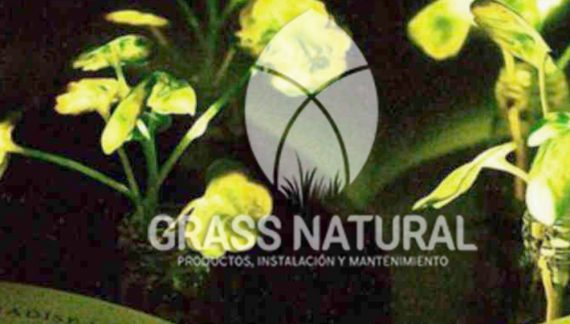 tipos de jardineria,jardineria cursos,servicio de jardineria,importancia de jardineria,jardineria herramientas,jardineria y plantas,jardineria y paisajismo,jardineria macetas,tipos de jardineria,jardineria cursos,servicio de jardineria,importancia de jardineria,jardineria herramientas,jardineria y plantas,jardineria y paisajismo,jardineria macetas,instalacion de grass sintetico pdf,como instalar grass sintetico,instalacion de grass natural,grass sintetico deportivo,grass sintetico decorativo,como colocar cesped sintetico para canchas,instalacion de grass sintetico sobre losa de concreto,procedimiento de instalacion de grass sintetico,como poner pasto natural,cómo preparar la tierra para poner pasto en rollo,como plantar cesped en tierra dura,venta de grass natural en huancayo,grass americano,como hacer panes de cesped caseros,como instalar grama,cesped en rollo,grass americano promart,grass americano descripcion,venta de grass americano en huachipa,grass japones,grass paspalum,grass americano chaclacayo,grass natural precio maestro,grass americano en lurin,grass paspalum lima,semilla grass paspalum,pasto paspalum caracteristicas,grass americano,grass bermuda,pasto paspalum precio,diferencia entre grass americano y paspalum,tipos de grass,semillas de cesped para jardin,pasto que no necesita corte,tipos de cesped para canchas de futbol,tipos de pasto para sombra,cesped caracteristicas,tipos de pasto san agustin,cesped natural para jardin,cesped kikuyo,como poner pasto natural,cómo preparar la tierra para poner pasto en rollo,como plantar cesped en tierra dura,venta de grass natural en huancayo,grass americano,como hacer panes de cesped caseros,como instalar grama,cesped en rollo,cómo preparar la tierra para poner pasto en rollo,como poner pasto en semilla,pasto alfombra natural,como sembrar pasto alfombra,cuidado del pasto en rollo recien plantado,instalacion de cesped natural,pasto sintetico,pasto chino cuidados,cómo preparar la tierra para poner pasto en rollo,como poner pasto en semilla,pasto alfombra natural,como sembrar pasto alfombra,cuidado del pasto en rollo recien plantado,instalacion de cesped natural,pasto sintetico,pasto chino cuidados,venta de plantas al por mayor,venta de plantas ornamentales en lima,venta de plantas de flores,venta de plantas en trujillo,venta de plantas por internet,venta de plantas en piura,viveros en lurin,viveros en lurin pachacamac,venta de plantas al por mayor,venta de plantas ornamentales en lima,viveros en lurin,viveros en la molina,viveros en lurin pachacamac,flor de loto venta peru,viveros en chorrillos ,venta de plantas online,venta de plantas al por mayor en lima,venta de plantas ornamentales,venta de plantas de flores,viveros en lurin,venta de plantas en magdalena,venta de plantas online,viveros en lurin pachacamac,viveros en la molina,venta de grass natural en lurin,venta de grass natural en puente piedra,grass natural precio maestro,venta de grass japones en lima,venta de grass natural en piura,venta de grass natural en comas,semilla de grass,venta de grass chino en lima,semilla grass bermuda black jack,grass americano,semillas de cesped para jardin,grass natural precio maestro,grass natural promart,crecimiento de grass,grass para parques,venta de cesped natural,venta de grass natural en lurin,venta de grass natural en puente piedra,grass natural precio maestro,venta de grass japones en lima,venta de grass natural en piura,venta de grass natural en , sistema de riego, de grass natural en lurin,venta de grass natural en puente piedra,grass natural precio maestro,venta de grass japones en lima,venta de grass natural en piura,venta de grass natural en comas,venta de grass sintetico,venta de grass chino en lima, Adaptadores para Grifos, Arandela, Arandela, Filtro Autolimpiante, Inyector Fertilizante, Válvula Final de Línea, Vástago con Pinza, Fijador de manguera, Cinta Antifuga, Conector Inicial, Empaquetadura de PVC, Inicial de Línea para Manguera, Unión para Manguera, Final de Línea para Manguera, Final de Línea para Manguera Tipo 8P, Registro de Unión para Manguera Registro de 16 mm, Registro de Esfera, sustratos, fertilizantes,, macetas, macetas de cemento, macetas decorativas, macetas para suculentas, macetas grandes, macetas cuadradas, macetas para interior ,macetas para ecterior, macetas para oficina, macetas bonitas, macetas decorativas, macetas de piedra, macetas griss