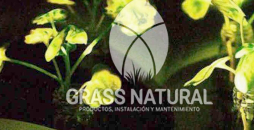 tipos de jardineria,jardineria cursos,servicio de jardineria,importancia de jardineria,jardineria herramientas,jardineria y plantas,jardineria y paisajismo,jardineria macetas,tipos de jardineria,jardineria cursos,servicio de jardineria,importancia de jardineria,jardineria herramientas,jardineria y plantas,jardineria y paisajismo,jardineria macetas,instalacion de grass sintetico pdf,como instalar grass sintetico,instalacion de grass natural,grass sintetico deportivo,grass sintetico decorativo,como colocar cesped sintetico para canchas,instalacion de grass sintetico sobre losa de concreto,procedimiento de instalacion de grass sintetico,como poner pasto natural,cómo preparar la tierra para poner pasto en rollo,como plantar cesped en tierra dura,venta de grass natural en huancayo,grass americano,como hacer panes de cesped caseros,como instalar grama,cesped en rollo,grass americano promart,grass americano descripcion,venta de grass americano en huachipa,grass japones,grass paspalum,grass americano chaclacayo,grass natural precio maestro,grass americano en lurin,grass paspalum lima,semilla grass paspalum,pasto paspalum caracteristicas,grass americano,grass bermuda,pasto paspalum precio,diferencia entre grass americano y paspalum,tipos de grass,semillas de cesped para jardin,pasto que no necesita corte,tipos de cesped para canchas de futbol,tipos de pasto para sombra,cesped caracteristicas,tipos de pasto san agustin,cesped natural para jardin,cesped kikuyo,como poner pasto natural,cómo preparar la tierra para poner pasto en rollo,como plantar cesped en tierra dura,venta de grass natural en huancayo,grass americano,como hacer panes de cesped caseros,como instalar grama,cesped en rollo,cómo preparar la tierra para poner pasto en rollo,como poner pasto en semilla,pasto alfombra natural,como sembrar pasto alfombra,cuidado del pasto en rollo recien plantado,instalacion de cesped natural,pasto sintetico,pasto chino cuidados,cómo preparar la tierra para poner pasto en rollo,como poner pasto en semilla,pasto alfombra natural,como sembrar pasto alfombra,cuidado del pasto en rollo recien plantado,instalacion de cesped natural,pasto sintetico,pasto chino cuidados,venta de plantas al por mayor,venta de plantas ornamentales en lima,venta de plantas de flores,venta de plantas en trujillo,venta de plantas por internet,venta de plantas en piura,viveros en lurin,viveros en lurin pachacamac,venta de plantas al por mayor,venta de plantas ornamentales en lima,viveros en lurin,viveros en la molina,viveros en lurin pachacamac,flor de loto venta peru,viveros en chorrillos ,venta de plantas online,venta de plantas al por mayor en lima,venta de plantas ornamentales,venta de plantas de flores,viveros en lurin,venta de plantas en magdalena,venta de plantas online,viveros en lurin pachacamac,viveros en la molina,venta de grass natural en lurin,venta de grass natural en puente piedra,grass natural precio maestro,venta de grass japones en lima,venta de grass natural en piura,venta de grass natural en comas,semilla de grass,venta de grass chino en lima,semilla grass bermuda black jack,grass americano,semillas de cesped para jardin,grass natural precio maestro,grass natural promart,crecimiento de grass,grass para parques,venta de cesped natural,venta de grass natural en lurin,venta de grass natural en puente piedra,grass natural precio maestro,venta de grass japones en lima,venta de grass natural en piura,venta de grass natural en , sistema de riego, de grass natural en lurin,venta de grass natural en puente piedra,grass natural precio maestro,venta de grass japones en lima,venta de grass natural en piura,venta de grass natural en comas,venta de grass sintetico,venta de grass chino en lima, Adaptadores para Grifos, Arandela, Arandela, Filtro Autolimpiante, Inyector Fertilizante, Válvula Final de Línea, Vástago con Pinza, Fijador de manguera, Cinta Antifuga, Conector Inicial, Empaquetadura de PVC, Inicial de Línea para Manguera, Unión para Manguera, Final de Línea para Manguera, Final de Línea para Manguera Tipo 8P, Registro de Unión para Manguera Registro de 16 mm, Registro de Esfera, sustratos, fertilizantes,, macetas, macetas de cemento, macetas decorativas, macetas para suculentas, macetas grandes, macetas cuadradas, macetas para interior ,macetas para ecterior, macetas para oficina, macetas bonitas, macetas decorativas, macetas de piedra, macetas griss