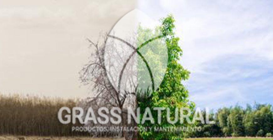 tipos de jardineria,jardineria cursos,servicio de jardineria,importancia de jardineria,jardineria herramientas,jardineria y plantas,jardineria y paisajismo,jardineria macetas,tipos de jardineria,jardineria cursos,servicio de jardineria,importancia de jardineria,jardineria herramientas,jardineria y plantas,jardineria y paisajismo,jardineria macetas,instalacion de grass sintetico pdf,como instalar grass sintetico,instalacion de grass natural,grass sintetico deportivo,grass sintetico decorativo,como colocar cesped sintetico para canchas,instalacion de grass sintetico sobre losa de concreto,procedimiento de instalacion de grass sintetico,como poner pasto natural,cómo preparar la tierra para poner pasto en rollo,como plantar cesped en tierra dura,venta de grass natural en huancayo,grass americano,como hacer panes de cesped caseros,como instalar grama,cesped en rollo,grass americano promart,grass americano descripcion,venta de grass americano en huachipa,grass japones,grass paspalum,grass americano chaclacayo,grass natural precio maestro,grass americano en lurin,grass paspalum lima,semilla grass paspalum,pasto paspalum caracteristicas,grass americano,grass bermuda,pasto paspalum precio,diferencia entre grass americano y paspalum,tipos de grass,semillas de cesped para jardin,pasto que no necesita corte,tipos de cesped para canchas de futbol,tipos de pasto para sombra,cesped caracteristicas,tipos de pasto san agustin,cesped natural para jardin,cesped kikuyo,como poner pasto natural,cómo preparar la tierra para poner pasto en rollo,como plantar cesped en tierra dura,venta de grass natural en huancayo,grass americano,como hacer panes de cesped caseros,como instalar grama,cesped en rollo,cómo preparar la tierra para poner pasto en rollo,como poner pasto en semilla,pasto alfombra natural,como sembrar pasto alfombra,cuidado del pasto en rollo recien plantado,instalacion de cesped natural,pasto sintetico,pasto chino cuidados,cómo preparar la tierra para poner pasto en rollo,como poner pasto en semilla,pasto alfombra natural,como sembrar pasto alfombra,cuidado del pasto en rollo recien plantado,instalacion de cesped natural,pasto sintetico,pasto chino cuidados,venta de plantas al por mayor,venta de plantas ornamentales en lima,venta de plantas de flores,venta de plantas en trujillo,venta de plantas por internet,venta de plantas en piura,viveros en lurin,viveros en lurin pachacamac,venta de plantas al por mayor,venta de plantas ornamentales en lima,viveros en lurin,viveros en la molina,viveros en lurin pachacamac,flor de loto venta peru,viveros en chorrillos ,venta de plantas online,venta de plantas al por mayor en lima,venta de plantas ornamentales,venta de plantas de flores,viveros en lurin,venta de plantas en magdalena,venta de plantas online,viveros en lurin pachacamac,viveros en la molina,venta de grass natural en lurin,venta de grass natural en puente piedra,grass natural precio maestro,venta de grass japones en lima,venta de grass natural en piura,venta de grass natural en comas,semilla de grass,venta de grass chino en lima,semilla grass bermuda black jack,grass americano,semillas de cesped para jardin,grass natural precio maestro,grass natural promart,crecimiento de grass,grass para parques,venta de cesped natural,venta de grass natural en lurin,venta de grass natural en puente piedra,grass natural precio maestro,venta de grass japones en lima,venta de grass natural en piura,venta de grass natural en , sistema de riego, de grass natural en lurin,venta de grass natural en puente piedra,grass natural precio maestro,venta de grass japones en lima,venta de grass natural en piura,venta de grass natural en comas,venta de grass sintetico,venta de grass chino en lima, Adaptadores para Grifos, Arandela, Arandela, Filtro Autolimpiante, Inyector Fertilizante, Válvula Final de Línea, Vástago con Pinza, Fijador de manguera, Cinta Antifuga, Conector Inicial, Empaquetadura de PVC, Inicial de Línea para Manguera, Unión para Manguera, Final de Línea para Manguera, Final de Línea para Manguera Tipo 8P, Registro de Unión para Manguera Registro de 16 mm, Registro de Esfera, sustratos, fertilizantes,