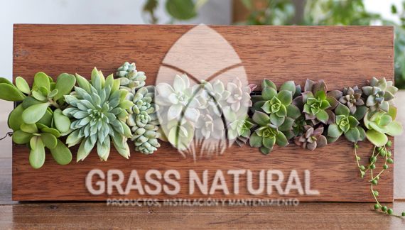 tipos de jardineria,jardineria cursos,servicio de jardineria,importancia de jardineria,jardineria herramientas,jardineria y plantas,jardineria y paisajismo,jardineria macetas,tipos de jardineria,jardineria cursos,servicio de jardineria,importancia de jardineria,jardineria herramientas,jardineria y plantas,jardineria y paisajismo,jardineria macetas,instalacion de grass sintetico pdf,como instalar grass sintetico,instalacion de grass natural,grass sintetico deportivo,grass sintetico decorativo,como colocar cesped sintetico para canchas,instalacion de grass sintetico sobre losa de concreto,procedimiento de instalacion de grass sintetico,como poner pasto natural,cómo preparar la tierra para poner pasto en rollo,como plantar cesped en tierra dura,venta de grass natural en huancayo,grass americano,como hacer panes de cesped caseros,como instalar grama,cesped en rollo,grass americano promart,grass americano descripcion,venta de grass americano en huachipa,grass japones,grass paspalum,grass americano chaclacayo,grass natural precio maestro,grass americano en lurin,grass paspalum lima,semilla grass paspalum,pasto paspalum caracteristicas,grass americano,grass bermuda,pasto paspalum precio,diferencia entre grass americano y paspalum,tipos de grass,semillas de cesped para jardin,pasto que no necesita corte,tipos de cesped para canchas de futbol,tipos de pasto para sombra,cesped caracteristicas,tipos de pasto san agustin,cesped natural para jardin,cesped kikuyo,como poner pasto natural,cómo preparar la tierra para poner pasto en rollo,como plantar cesped en tierra dura,venta de grass natural en huancayo,grass americano,como hacer panes de cesped caseros,como instalar grama,cesped en rollo,cómo preparar la tierra para poner pasto en rollo,como poner pasto en semilla,pasto alfombra natural,como sembrar pasto alfombra,cuidado del pasto en rollo recien plantado,instalacion de cesped natural,pasto sintetico,pasto chino cuidados,cómo preparar la tierra para poner pasto en rollo,como poner pasto en semilla,pasto alfombra natural,como sembrar pasto alfombra,cuidado del pasto en rollo recien plantado,instalacion de cesped natural,pasto sintetico,pasto chino cuidados,venta de plantas al por mayor,venta de plantas ornamentales en lima,venta de plantas de flores,venta de plantas en trujillo,venta de plantas por internet,venta de plantas en piura,viveros en lurin,viveros en lurin pachacamac,venta de plantas al por mayor,venta de plantas ornamentales en lima,viveros en lurin,viveros en la molina,viveros en lurin pachacamac,flor de loto venta peru,viveros en chorrillos ,venta de plantas online,venta de plantas al por mayor en lima,venta de plantas ornamentales,venta de plantas de flores,viveros en lurin,venta de plantas en magdalena,venta de plantas online,viveros en lurin pachacamac,viveros en la molina,venta de grass natural en lurin,venta de grass natural en puente piedra,grass natural precio maestro,venta de grass japones en lima,venta de grass natural en piura,venta de grass natural en comas,semilla de grass,venta de grass chino en lima,semilla grass bermuda black jack,grass americano,semillas de cesped para jardin,grass natural precio maestro,grass natural promart,crecimiento de grass,grass para parques,venta de cesped natural,venta de grass natural en lurin,venta de grass natural en puente piedra,grass natural precio maestro,venta de grass japones en lima,venta de grass natural en piura,venta de grass natural en , sistema de riego, de grass natural en lurin,venta de grass natural en puente piedra,grass natural precio maestro,venta de grass japones en lima,venta de grass natural en piura,venta de grass natural en comas,venta de grass sintetico,venta de grass chino en lima, Adaptadores para Grifos, Arandela, Arandela, Filtro Autolimpiante, Inyector Fertilizante, Válvula Final de Línea, Vástago con Pinza, Fijador de manguera, Cinta Antifuga, Conector Inicial, Empaquetadura de PVC, Inicial de Línea para Manguera, Unión para Manguera, Final de Línea para Manguera, Final de Línea para Manguera Tipo 8P, Registro de Unión para Manguera Registro de 16 mm, Registro de Esfera, sustratos, fertilizantes,, macetas, macetas de cemento, macetas decorativas, macetas para suculentas, macetas grandes, macetas cuadradas, macetas para interior ,macetas para ecterior, macetas para oficina, macetas bonitas, macetas decorativas, macetas de piedra, macetas griss