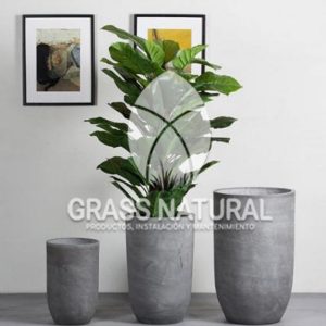 tipos de jardineria,jardineria cursos,servicio de jardineria,importancia de jardineria,jardineria herramientas,jardineria y plantas,jardineria y paisajismo,jardineria macetas,tipos de jardineria,jardineria cursos,servicio de jardineria,importancia de jardineria,jardineria herramientas,jardineria y plantas,jardineria y paisajismo,jardineria macetas,instalacion de grass sintetico pdf,como instalar grass sintetico,instalacion de grass natural,grass sintetico deportivo,grass sintetico decorativo,como colocar cesped sintetico para canchas,instalacion de grass sintetico sobre losa de concreto,procedimiento de instalacion de grass sintetico,como poner pasto natural,cómo preparar la tierra para poner pasto en rollo,como plantar cesped en tierra dura,venta de grass natural en huancayo,grass americano,como hacer panes de cesped caseros,como instalar grama,cesped en rollo,grass americano promart,grass americano descripcion,venta de grass americano en huachipa,grass japones,grass paspalum,grass americano chaclacayo,grass natural precio maestro,grass americano en lurin,grass paspalum lima,semilla grass paspalum,pasto paspalum caracteristicas,grass americano,grass bermuda,pasto paspalum precio,diferencia entre grass americano y paspalum,tipos de grass,semillas de cesped para jardin,pasto que no necesita corte,tipos de cesped para canchas de futbol,tipos de pasto para sombra,cesped caracteristicas,tipos de pasto san agustin,cesped natural para jardin,cesped kikuyo,como poner pasto natural,cómo preparar la tierra para poner pasto en rollo,como plantar cesped en tierra dura,venta de grass natural en huancayo,grass americano,como hacer panes de cesped caseros,como instalar grama,cesped en rollo,cómo preparar la tierra para poner pasto en rollo,como poner pasto en semilla,pasto alfombra natural,como sembrar pasto alfombra,cuidado del pasto en rollo recien plantado,instalacion de cesped natural,pasto sintetico,pasto chino cuidados,cómo preparar la tierra para poner pasto en rollo,como poner pasto en semilla,pasto alfombra natural,como sembrar pasto alfombra,cuidado del pasto en rollo recien plantado,instalacion de cesped natural,pasto sintetico,pasto chino cuidados,venta de plantas al por mayor,venta de plantas ornamentales en lima,venta de plantas de flores,venta de plantas en trujillo,venta de plantas por internet,venta de plantas en piura,viveros en lurin,viveros en lurin pachacamac,venta de plantas al por mayor,venta de plantas ornamentales en lima,viveros en lurin,viveros en la molina,viveros en lurin pachacamac,flor de loto venta peru,viveros en chorrillos ,venta de plantas online,venta de plantas al por mayor en lima,venta de plantas ornamentales,venta de plantas de flores,viveros en lurin,venta de plantas en magdalena,venta de plantas online,viveros en lurin pachacamac,viveros en la molina,venta de grass natural en lurin,venta de grass natural en puente piedra,grass natural precio maestro,venta de grass japones en lima,venta de grass natural en piura,venta de grass natural en comas,semilla de grass,venta de grass chino en lima,semilla grass bermuda black jack,grass americano,semillas de cesped para jardin,grass natural precio maestro,grass natural promart,crecimiento de grass,grass para parques,venta de cesped natural,venta de grass natural en lurin,venta de grass natural en puente piedra,grass natural precio maestro,venta de grass japones en lima,venta de grass natural en piura,venta de grass natural en , sistema de riego, de grass natural en lurin,venta de grass natural en puente piedra,grass natural precio maestro,venta de grass japones en lima,venta de grass natural en piura,venta de grass natural en comas,venta de grass sintetico,venta de grass chino en lima, Adaptadores para Grifos, Arandela, Arandela, Filtro Autolimpiante, Inyector Fertilizante, Válvula Final de Línea, Vástago con Pinza, Fijador de manguera, Cinta Antifuga, Conector Inicial, Empaquetadura de PVC, Inicial de Línea para Manguera, Unión para Manguera, Final de Línea para Manguera, Final de Línea para Manguera Tipo 8P, Registro de Unión para Manguera Registro de 16 mm, Registro de Esfera, sustratos, fertilizantes,, macetas, macetas de cemento, macetas decorativas, macetas para suculentas, macetas grandes, macetas cuadradas, macetas para interior ,macetas para ecterior, macetas para oficina, macetas bonitas, macetas decorativas, macetas de piedra, macetas griss