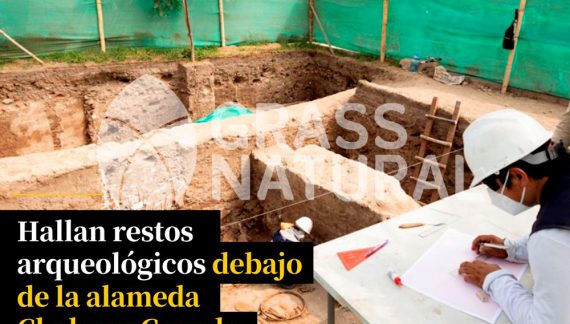 tipos de jardineria,jardineria cursos,servicio de jardineria,importancia de jardineria,jardineria herramientas,jardineria y plantas,jardineria y paisajismo,jardineria macetas,tipos de jardineria,jardineria cursos,servicio de jardineria,importancia de jardineria,jardineria herramientas,jardineria y plantas,jardineria y paisajismo,jardineria macetas,instalacion de grass sintetico pdf,como instalar grass sintetico,instalacion de grass natural,grass sintetico deportivo,grass sintetico decorativo,como colocar cesped sintetico para canchas,instalacion de grass sintetico sobre losa de concreto,procedimiento de instalacion de grass sintetico,como poner pasto natural,cómo preparar la tierra para poner pasto en rollo,como plantar cesped en tierra dura,venta de grass natural en huancayo,grass americano,como hacer panes de cesped caseros,como instalar grama,cesped en rollo,grass americano promart,grass americano descripcion,venta de grass americano en huachipa,grass japones,grass paspalum,grass americano chaclacayo,grass natural precio maestro,grass americano en lurin,grass paspalum lima,semilla grass paspalum,pasto paspalum caracteristicas,grass americano,grass bermuda,pasto paspalum precio,diferencia entre grass americano y paspalum,tipos de grass,semillas de cesped para jardin,pasto que no necesita corte,tipos de cesped para canchas de futbol,tipos de pasto para sombra,cesped caracteristicas,tipos de pasto san agustin,cesped natural para jardin,cesped kikuyo,como poner pasto natural,cómo preparar la tierra para poner pasto en rollo,como plantar cesped en tierra dura,venta de grass natural en huancayo,grass americano,como hacer panes de cesped caseros,como instalar grama,cesped en rollo,cómo preparar la tierra para poner pasto en rollo,como poner pasto en semilla,pasto alfombra natural,como sembrar pasto alfombra,cuidado del pasto en rollo recien plantado,instalacion de cesped natural,pasto sintetico,pasto chino cuidados,cómo preparar la tierra para poner pasto en rollo,como poner pasto en semilla,pasto alfombra natural,como sembrar pasto alfombra,cuidado del pasto en rollo recien plantado,instalacion de cesped natural,pasto sintetico,pasto chino cuidados,venta de plantas al por mayor,venta de plantas ornamentales en lima,venta de plantas de flores,venta de plantas en trujillo,venta de plantas por internet,venta de plantas en piura,viveros en lurin,viveros en lurin pachacamac,venta de plantas al por mayor,venta de plantas ornamentales en lima,viveros en lurin,viveros en la molina,viveros en lurin pachacamac,flor de loto venta peru,viveros en chorrillos ,venta de plantas online,venta de plantas al por mayor en lima,venta de plantas ornamentales,venta de plantas de flores,viveros en lurin,venta de plantas en magdalena,venta de plantas online,viveros en lurin pachacamac,viveros en la molina,venta de grass natural en lurin,venta de grass natural en puente piedra,grass natural precio maestro,venta de grass japones en lima,venta de grass natural en piura,venta de grass natural en comas,semilla de grass,venta de grass chino en lima,semilla grass bermuda black jack,grass americano,semillas de cesped para jardin,grass natural precio maestro,grass natural promart,crecimiento de grass,grass para parques,venta de cesped natural,venta de grass natural en lurin,venta de grass natural en puente piedra,grass natural precio maestro,venta de grass japones en lima,venta de grass natural en piura,venta de grass natural en , sistema de riego, de grass natural en lurin,venta de grass natural en puente piedra,grass natural precio maestro,venta de grass japones en lima,venta de grass natural en piura,venta de grass natural en comas,venta de grass sintetico,venta de grass chino en lima, Adaptadores para Grifos, Arandela, Arandela, Filtro Autolimpiante, Inyector Fertilizante, Válvula Final de Línea, Vástago con Pinza, Fijador de manguera, Cinta Antifuga, Conector Inicial, Empaquetadura de PVC, Inicial de Línea para Manguera, Unión para Manguera, Final de Línea para Manguera, Final de Línea para Manguera Tipo 8P, Registro de Unión para Manguera Registro de 16 mm, Registro de Esfera, sustratos, fertilizantes,, macetas, macetas de cemento, macetas decorativas, macetas para suculentas, macetas grandes, macetas cuadradas, macetas para interior ,macetas para ecterior, macetas para oficina, macetas bonitas, macetas decorativas, macetas de piedra, macetas griss