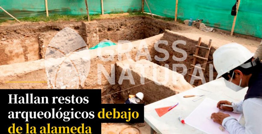 tipos de jardineria,jardineria cursos,servicio de jardineria,importancia de jardineria,jardineria herramientas,jardineria y plantas,jardineria y paisajismo,jardineria macetas,tipos de jardineria,jardineria cursos,servicio de jardineria,importancia de jardineria,jardineria herramientas,jardineria y plantas,jardineria y paisajismo,jardineria macetas,instalacion de grass sintetico pdf,como instalar grass sintetico,instalacion de grass natural,grass sintetico deportivo,grass sintetico decorativo,como colocar cesped sintetico para canchas,instalacion de grass sintetico sobre losa de concreto,procedimiento de instalacion de grass sintetico,como poner pasto natural,cómo preparar la tierra para poner pasto en rollo,como plantar cesped en tierra dura,venta de grass natural en huancayo,grass americano,como hacer panes de cesped caseros,como instalar grama,cesped en rollo,grass americano promart,grass americano descripcion,venta de grass americano en huachipa,grass japones,grass paspalum,grass americano chaclacayo,grass natural precio maestro,grass americano en lurin,grass paspalum lima,semilla grass paspalum,pasto paspalum caracteristicas,grass americano,grass bermuda,pasto paspalum precio,diferencia entre grass americano y paspalum,tipos de grass,semillas de cesped para jardin,pasto que no necesita corte,tipos de cesped para canchas de futbol,tipos de pasto para sombra,cesped caracteristicas,tipos de pasto san agustin,cesped natural para jardin,cesped kikuyo,como poner pasto natural,cómo preparar la tierra para poner pasto en rollo,como plantar cesped en tierra dura,venta de grass natural en huancayo,grass americano,como hacer panes de cesped caseros,como instalar grama,cesped en rollo,cómo preparar la tierra para poner pasto en rollo,como poner pasto en semilla,pasto alfombra natural,como sembrar pasto alfombra,cuidado del pasto en rollo recien plantado,instalacion de cesped natural,pasto sintetico,pasto chino cuidados,cómo preparar la tierra para poner pasto en rollo,como poner pasto en semilla,pasto alfombra natural,como sembrar pasto alfombra,cuidado del pasto en rollo recien plantado,instalacion de cesped natural,pasto sintetico,pasto chino cuidados,venta de plantas al por mayor,venta de plantas ornamentales en lima,venta de plantas de flores,venta de plantas en trujillo,venta de plantas por internet,venta de plantas en piura,viveros en lurin,viveros en lurin pachacamac,venta de plantas al por mayor,venta de plantas ornamentales en lima,viveros en lurin,viveros en la molina,viveros en lurin pachacamac,flor de loto venta peru,viveros en chorrillos ,venta de plantas online,venta de plantas al por mayor en lima,venta de plantas ornamentales,venta de plantas de flores,viveros en lurin,venta de plantas en magdalena,venta de plantas online,viveros en lurin pachacamac,viveros en la molina,venta de grass natural en lurin,venta de grass natural en puente piedra,grass natural precio maestro,venta de grass japones en lima,venta de grass natural en piura,venta de grass natural en comas,semilla de grass,venta de grass chino en lima,semilla grass bermuda black jack,grass americano,semillas de cesped para jardin,grass natural precio maestro,grass natural promart,crecimiento de grass,grass para parques,venta de cesped natural,venta de grass natural en lurin,venta de grass natural en puente piedra,grass natural precio maestro,venta de grass japones en lima,venta de grass natural en piura,venta de grass natural en , sistema de riego, de grass natural en lurin,venta de grass natural en puente piedra,grass natural precio maestro,venta de grass japones en lima,venta de grass natural en piura,venta de grass natural en comas,venta de grass sintetico,venta de grass chino en lima, Adaptadores para Grifos, Arandela, Arandela, Filtro Autolimpiante, Inyector Fertilizante, Válvula Final de Línea, Vástago con Pinza, Fijador de manguera, Cinta Antifuga, Conector Inicial, Empaquetadura de PVC, Inicial de Línea para Manguera, Unión para Manguera, Final de Línea para Manguera, Final de Línea para Manguera Tipo 8P, Registro de Unión para Manguera Registro de 16 mm, Registro de Esfera, sustratos, fertilizantes,, macetas, macetas de cemento, macetas decorativas, macetas para suculentas, macetas grandes, macetas cuadradas, macetas para interior ,macetas para ecterior, macetas para oficina, macetas bonitas, macetas decorativas, macetas de piedra, macetas griss