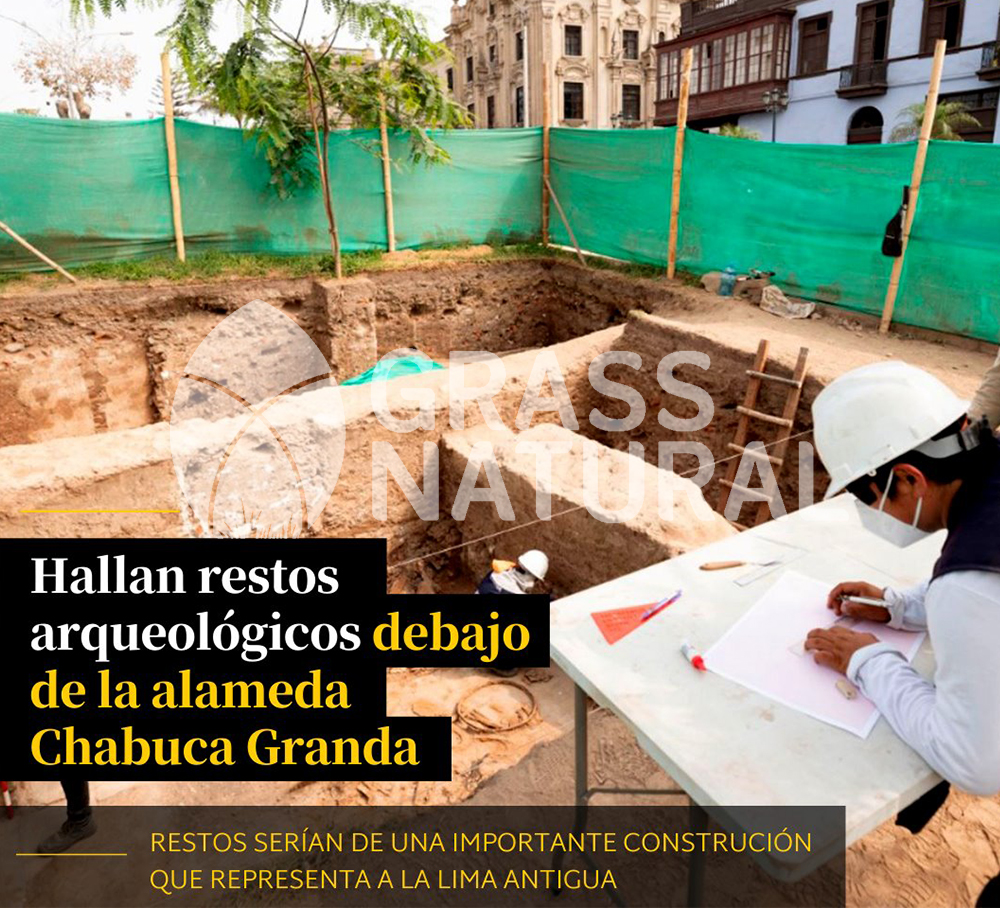 tipos de jardineria,jardineria cursos,servicio de jardineria,importancia de jardineria,jardineria herramientas,jardineria y plantas,jardineria y paisajismo,jardineria macetas,tipos de jardineria,jardineria cursos,servicio de jardineria,importancia de jardineria,jardineria herramientas,jardineria y plantas,jardineria y paisajismo,jardineria macetas,instalacion de grass sintetico pdf,como instalar grass sintetico,instalacion de grass natural,grass sintetico deportivo,grass sintetico decorativo,como colocar cesped sintetico para canchas,instalacion de grass sintetico sobre losa de concreto,procedimiento de instalacion de grass sintetico,como poner pasto natural,cómo preparar la tierra para poner pasto en rollo,como plantar cesped en tierra dura,venta de grass natural en huancayo,grass americano,como hacer panes de cesped caseros,como instalar grama,cesped en rollo,grass americano promart,grass americano descripcion,venta de grass americano en huachipa,grass japones,grass paspalum,grass americano chaclacayo,grass natural precio maestro,grass americano en lurin,grass paspalum lima,semilla grass paspalum,pasto paspalum caracteristicas,grass americano,grass bermuda,pasto paspalum precio,diferencia entre grass americano y paspalum,tipos de grass,semillas de cesped para jardin,pasto que no necesita corte,tipos de cesped para canchas de futbol,tipos de pasto para sombra,cesped caracteristicas,tipos de pasto san agustin,cesped natural para jardin,cesped kikuyo,como poner pasto natural,cómo preparar la tierra para poner pasto en rollo,como plantar cesped en tierra dura,venta de grass natural en huancayo,grass americano,como hacer panes de cesped caseros,como instalar grama,cesped en rollo,cómo preparar la tierra para poner pasto en rollo,como poner pasto en semilla,pasto alfombra natural,como sembrar pasto alfombra,cuidado del pasto en rollo recien plantado,instalacion de cesped natural,pasto sintetico,pasto chino cuidados,cómo preparar la tierra para poner pasto en rollo,como poner pasto en semilla,pasto alfombra natural,como sembrar pasto alfombra,cuidado del pasto en rollo recien plantado,instalacion de cesped natural,pasto sintetico,pasto chino cuidados,venta de plantas al por mayor,venta de plantas ornamentales en lima,venta de plantas de flores,venta de plantas en trujillo,venta de plantas por internet,venta de plantas en piura,viveros en lurin,viveros en lurin pachacamac,venta de plantas al por mayor,venta de plantas ornamentales en lima,viveros en lurin,viveros en la molina,viveros en lurin pachacamac,flor de loto venta peru,viveros en chorrillos ,venta de plantas online,venta de plantas al por mayor en lima,venta de plantas ornamentales,venta de plantas de flores,viveros en lurin,venta de plantas en magdalena,venta de plantas online,viveros en lurin pachacamac,viveros en la molina,venta de grass natural en lurin,venta de grass natural en puente piedra,grass natural precio maestro,venta de grass japones en lima,venta de grass natural en piura,venta de grass natural en comas,semilla de grass,venta de grass chino en lima,semilla grass bermuda black jack,grass americano,semillas de cesped para jardin,grass natural precio maestro,grass natural promart,crecimiento de grass,grass para parques,venta de cesped natural,venta de grass natural en lurin,venta de grass natural en puente piedra,grass natural precio maestro,venta de grass japones en lima,venta de grass natural en piura,venta de grass natural en , sistema de riego, de grass natural en lurin,venta de grass natural en puente piedra,grass natural precio maestro,venta de grass japones en lima,venta de grass natural en piura,venta de grass natural en comas,venta de grass sintetico,venta de grass chino en lima, Adaptadores para Grifos, Arandela, Arandela, Filtro Autolimpiante, Inyector Fertilizante, Válvula Final de Línea, Vástago con Pinza, Fijador de manguera, Cinta Antifuga, Conector Inicial, Empaquetadura de PVC, Inicial de Línea para Manguera, Unión para Manguera, Final de Línea para Manguera, Final de Línea para Manguera Tipo 8P, Registro de Unión para Manguera Registro de 16 mm, Registro de Esfera, sustratos, fertilizantes,, macetas, macetas de cemento, macetas decorativas, macetas para suculentas, macetas grandes, macetas cuadradas, macetas para interior ,macetas para ecterior, macetas para oficina, macetas bonitas, macetas decorativas, macetas de piedra, macetas griss