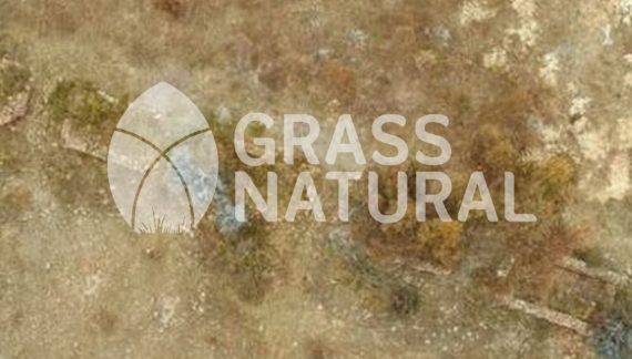 tipos de jardineria,jardineria cursos,servicio de jardineria,importancia de jardineria,jardineria herramientas,jardineria y plantas,jardineria y paisajismo,jardineria macetas,tipos de jardineria,jardineria cursos,servicio de jardineria,importancia de jardineria,jardineria herramientas,jardineria y plantas,jardineria y paisajismo,jardineria macetas,instalacion de grass sintetico pdf,como instalar grass sintetico,instalacion de grass natural,grass sintetico deportivo,grass sintetico decorativo,como colocar cesped sintetico para canchas,instalacion de grass sintetico sobre losa de concreto,procedimiento de instalacion de grass sintetico,como poner pasto natural,cómo preparar la tierra para poner pasto en rollo,como plantar cesped en tierra dura,venta de grass natural en huancayo,grass americano,como hacer panes de cesped caseros,como instalar grama,cesped en rollo,grass americano promart,grass americano descripcion,venta de grass americano en huachipa,grass japones,grass paspalum,grass americano chaclacayo,grass natural precio maestro,grass americano en lurin,grass paspalum lima,semilla grass paspalum,pasto paspalum caracteristicas,grass americano,grass bermuda,pasto paspalum precio,diferencia entre grass americano y paspalum,tipos de grass,semillas de cesped para jardin,pasto que no necesita corte,tipos de cesped para canchas de futbol,tipos de pasto para sombra,cesped caracteristicas,tipos de pasto san agustin,cesped natural para jardin,cesped kikuyo,como poner pasto natural,cómo preparar la tierra para poner pasto en rollo,como plantar cesped en tierra dura,venta de grass natural en huancayo,grass americano,como hacer panes de cesped caseros,como instalar grama,cesped en rollo,cómo preparar la tierra para poner pasto en rollo,como poner pasto en semilla,pasto alfombra natural,como sembrar pasto alfombra,cuidado del pasto en rollo recien plantado,instalacion de cesped natural,pasto sintetico,pasto chino cuidados,cómo preparar la tierra para poner pasto en rollo,como poner pasto en semilla,pasto alfombra natural,como sembrar pasto alfombra,cuidado del pasto en rollo recien plantado,instalacion de cesped natural,pasto sintetico,pasto chino cuidados,venta de plantas al por mayor,venta de plantas ornamentales en lima,venta de plantas de flores,venta de plantas en trujillo,venta de plantas por internet,venta de plantas en piura,viveros en lurin,viveros en lurin pachacamac,venta de plantas al por mayor,venta de plantas ornamentales en lima,viveros en lurin,viveros en la molina,viveros en lurin pachacamac,flor de loto venta peru,viveros en chorrillos ,venta de plantas online,venta de plantas al por mayor en lima,venta de plantas ornamentales,venta de plantas de flores,viveros en lurin,venta de plantas en magdalena,venta de plantas online,viveros en lurin pachacamac,viveros en la molina,venta de grass natural en lurin,venta de grass natural en puente piedra,grass natural precio maestro,venta de grass japones en lima,venta de grass natural en piura,venta de grass natural en comas,semilla de grass,venta de grass chino en lima,semilla grass bermuda black jack,grass americano,semillas de cesped para jardin,grass natural precio maestro,grass natural promart,crecimiento de grass,grass para parques,venta de cesped natural,venta de grass natural en lurin,venta de grass natural en puente piedra,grass natural precio maestro,venta de grass japones en lima,venta de grass natural en piura,venta de grass natural en , sistema de riego, de grass natural en lurin,venta de grass natural en puente piedra,grass natural precio maestro,venta de grass japones en lima,venta de grass natural en piura,venta de grass natural en comas,venta de grass sintetico,venta de grass chino en lima, Adaptadores para Grifos, Arandela, Arandela, Filtro Autolimpiante, Inyector Fertilizante, Válvula Final de Línea, Vástago con Pinza, Fijador de manguera, Cinta Antifuga, Conector Inicial, Empaquetadura de PVC, Inicial de Línea para Manguera, Unión para Manguera, Final de Línea para Manguera, Final de Línea para Manguera Tipo 8P, Registro de Unión para Manguera Registro de 16 mm, Registro de Esfera, sustratos, fertilizantes,, macetas, macetas de cemento, macetas decorativas, macetas para suculentas, macetas grandes, macetas cuadradas, macetas para interior ,macetas para ecterior, macetas para oficina, macetas bonitas, macetas decorativas, macetas de piedra, macetas griss